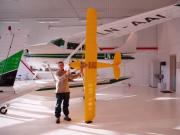 IvarCub2